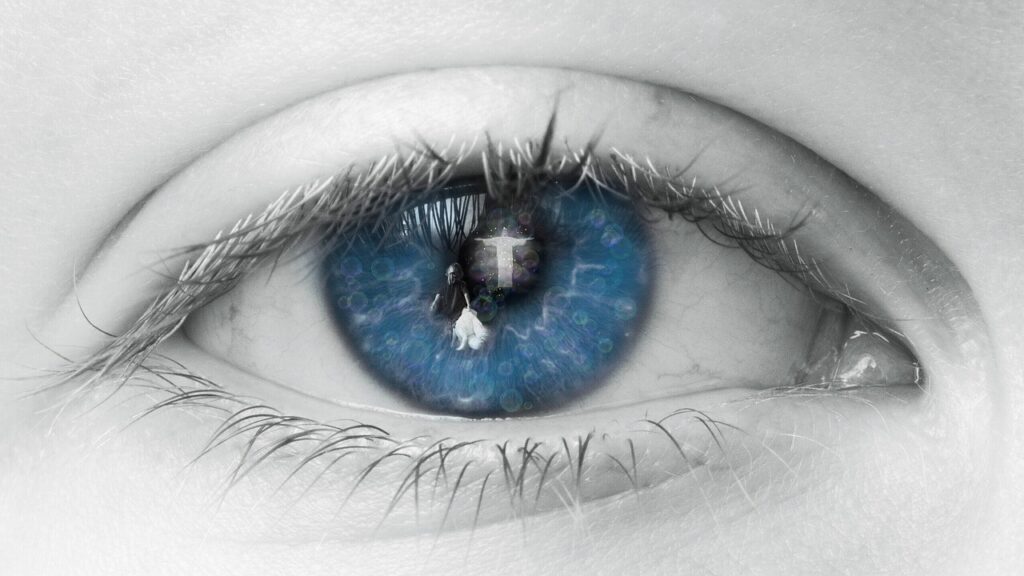 eye, blue, human-2644086.jpg